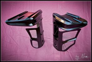 radiateur vmax 1700